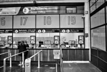 customer service contact number