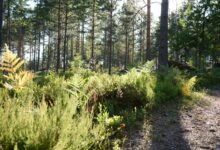 exploring unconventional life journeys