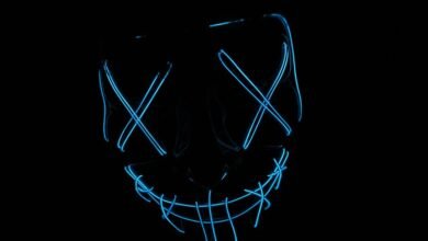 mysterious digital persona revealed