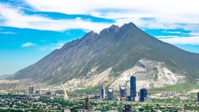 business growth projections continue