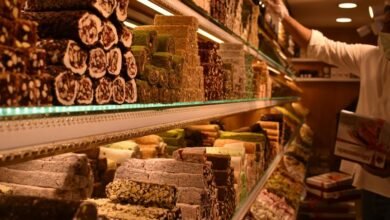 market expansion strategy insights