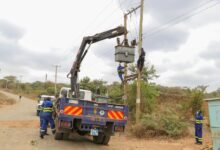 apex relay dock aurora