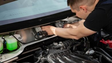 background check alerts issued