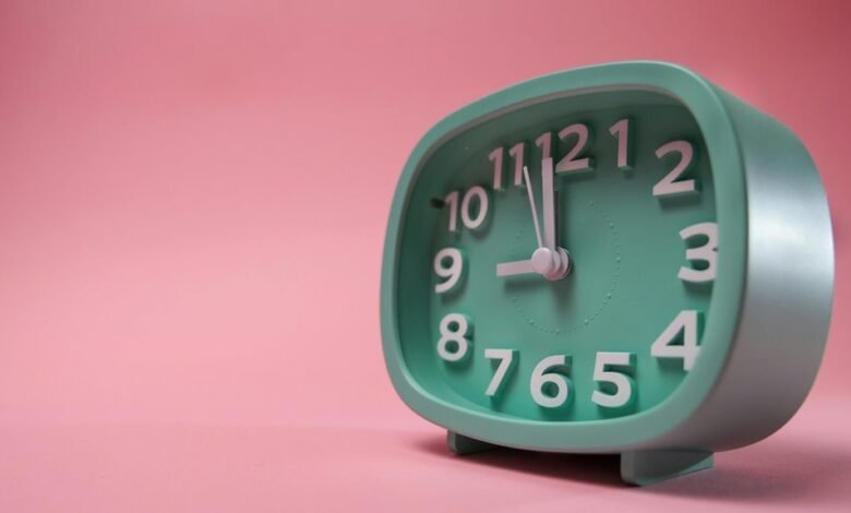 neural vector apex edge