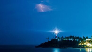 profit from momentum surge