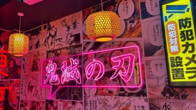 light novel vs manga distinction