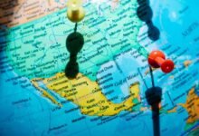 where zahyillproztulas found in
